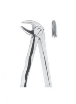 Extracting Forceps